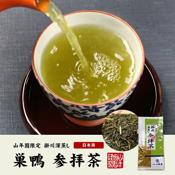 掛川深蒸し茶 巣鴨 参拝茶 100g×12袋セット