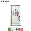 日本茶 お茶 煎茶 茶葉 頴娃 100g