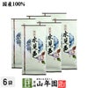 水見色 100g×6袋セット