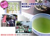 【掛川茶】掛川深蒸し茶100g ×3袋セット