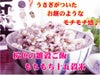 もちもち十五穀米 280g ×3袋セット