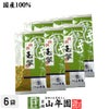 日本茶 お茶 煎茶 茶葉 玉翠 100g×6袋セット