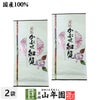 日本茶 お茶 煎茶 茶葉 知覧かぶせ 100g ×2袋セット