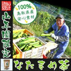 【定期購入】なたまめ茶 国産 無農薬 ノンカフェイン ティーパック 30(3g×10パック) ×2袋セット