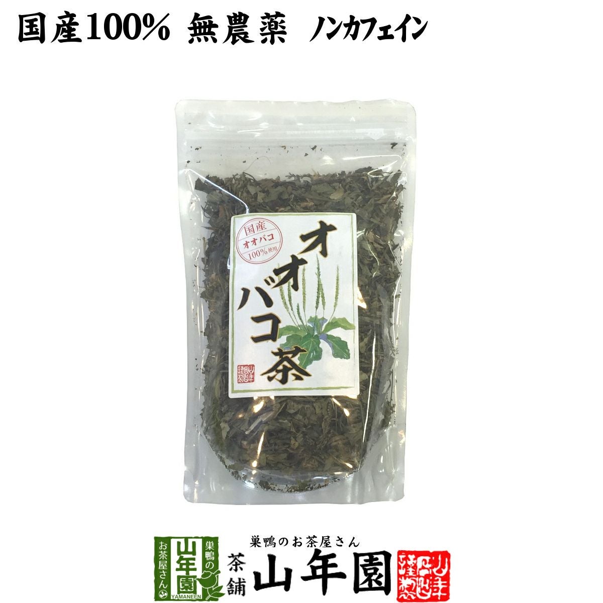 【国産 100%】オオバコ茶 100g 無農薬 ノンカフェイン 宮崎県産または熊本県産