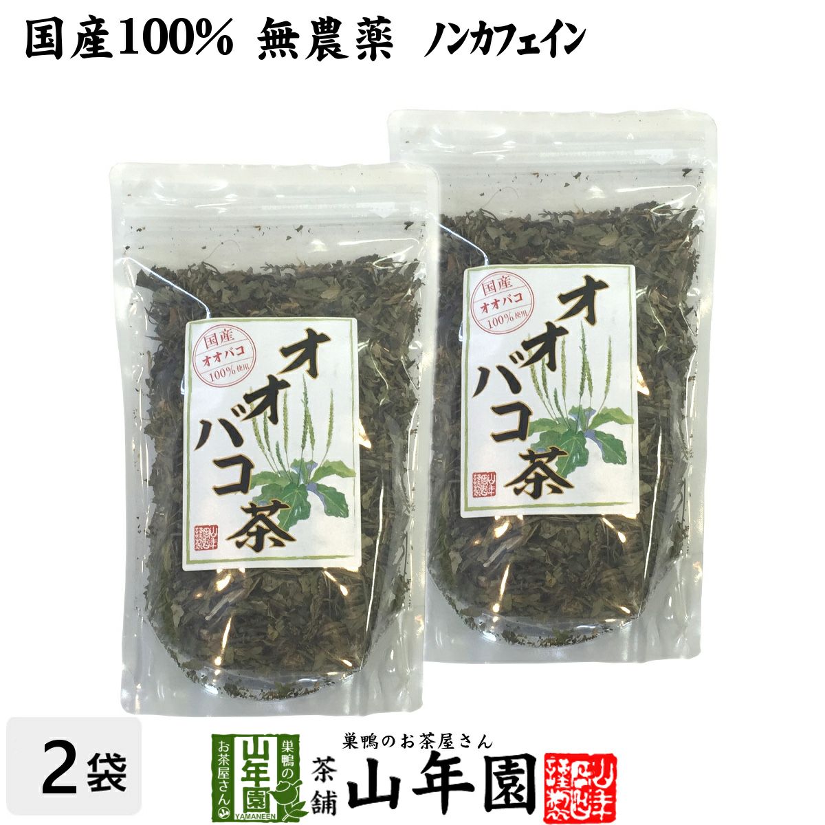 【国産 100%】オオバコ茶 100g×2袋セット 無農薬 ノンカフェイン 宮崎県産または熊本県産