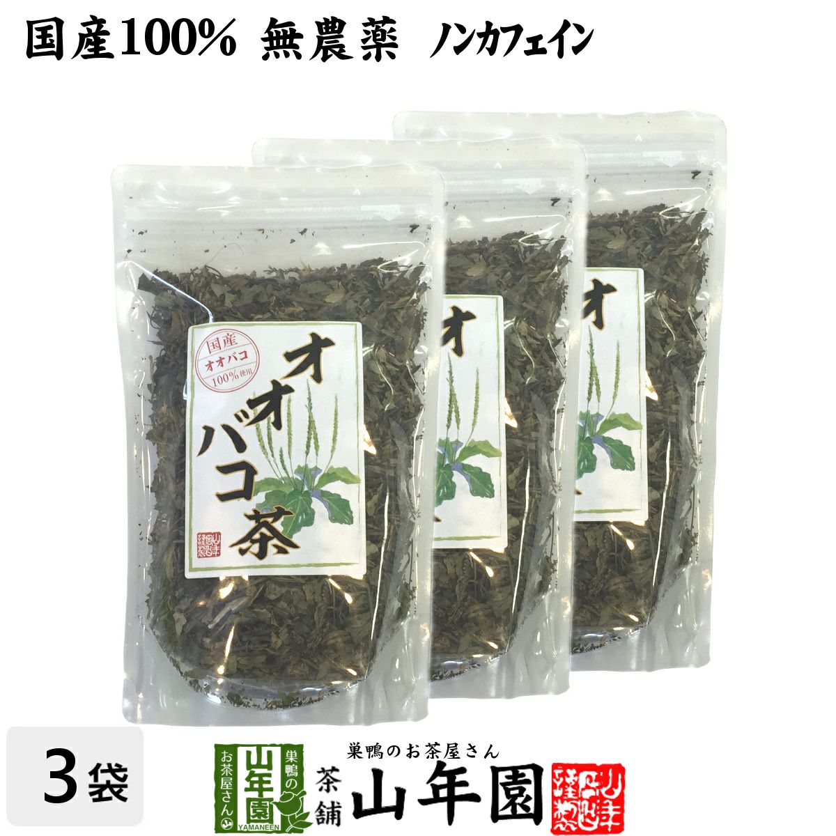 【国産 100%】オオバコ茶 100g×3袋セット 無農薬 ノンカフェイン 宮崎県産または熊本県産