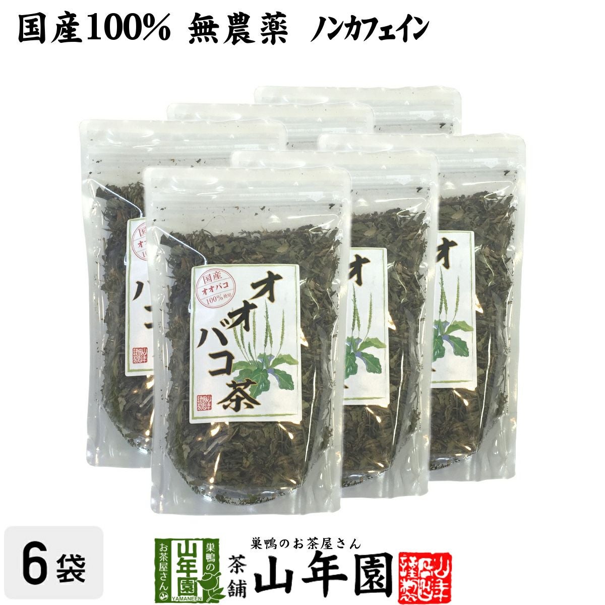 【国産 100%】オオバコ茶 100g×6袋セット 無農薬 ノンカフェイン 宮崎県産または熊本県産