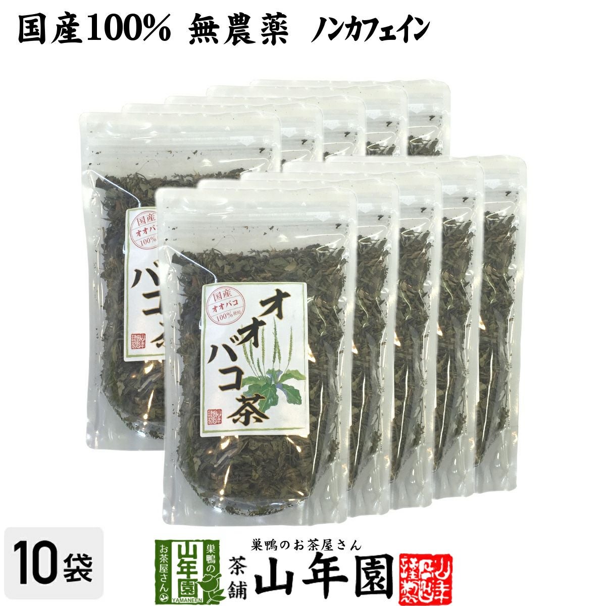 【国産 100%】オオバコ茶 100g×10袋セット 無農薬 ノンカフェイン 宮崎県産または熊本県産