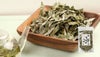 【国産 100%】ウラジロガシ茶 100g×3袋セット 宮崎県産 ノンカフェイン 無農薬