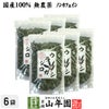 【国産 100%】ウラジロガシ茶 100g×6袋セット 宮崎県産 ノンカフェイン 無農薬