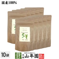 【国産 100%】ペパーミントティー ハーブティー 2g×15パック×10袋セット 熊本県産 ノンカフェイン 無農薬