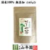 【国産100%】ゴーヤ茶 ゴーヤー茶 宮崎県産 1.5g×20パック