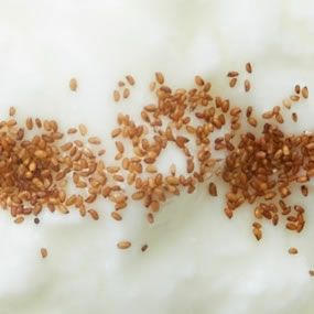 【無添加100%】テフ 200g×6袋セット ブラウンテフ