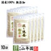 【国産 無添加 100%】【30分間蒸した生姜のみ使用】蒸し生姜 粉末 45g×10袋セット 熊本県産 蒸ししょうが