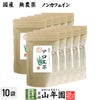【国産 無農薬 100%】アロエ茶 40g×10袋セット 高知県四万十川産 ノンカフェイン