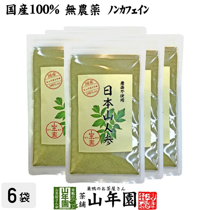 【国産 無農薬 100%】日本山人参 粉末 ヒュウガトウキ 50g×6袋セット パウダー 宮崎県産ノンカフェイン