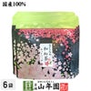 【国産100%】さくらの和紅茶 2g×5パック×6袋セット
