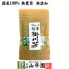 【国産】掛川深蒸し茶 スティックタイプ 粉末 0.8g×15本