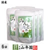 【国産】水出しみんと冷茶 40g（4g×10p）×6袋 送料無料