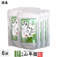 【国産】水出しみんと冷茶 40g（4g×10p）×6袋 送料無料
