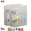 【国産】水出しゆず冷茶 40g（4g×10p）×6袋 送料無料