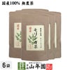 お茶 健康茶【国産】モリンガ茶 1g×10包×6袋 送料無料