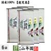 特選指宿頴娃 100g×6袋 送料無料
