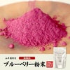 【国産】 ブルーベリー粉末 50g×3袋 送料無料