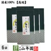 静岡 掛川 霧そだち 100g×6袋 送料無料